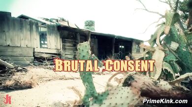 Merciless Consent Casey Lyla James